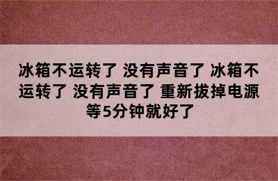 冰箱不运转了 没有声音了 冰箱不运转了 没有声音了 重新拔掉电源等5分钟就好了